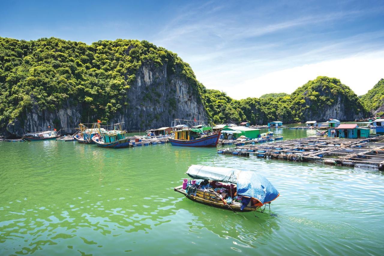 Hotel Sena Cruises - Wonder On Lan Ha Bay à Hạ Long Extérieur photo